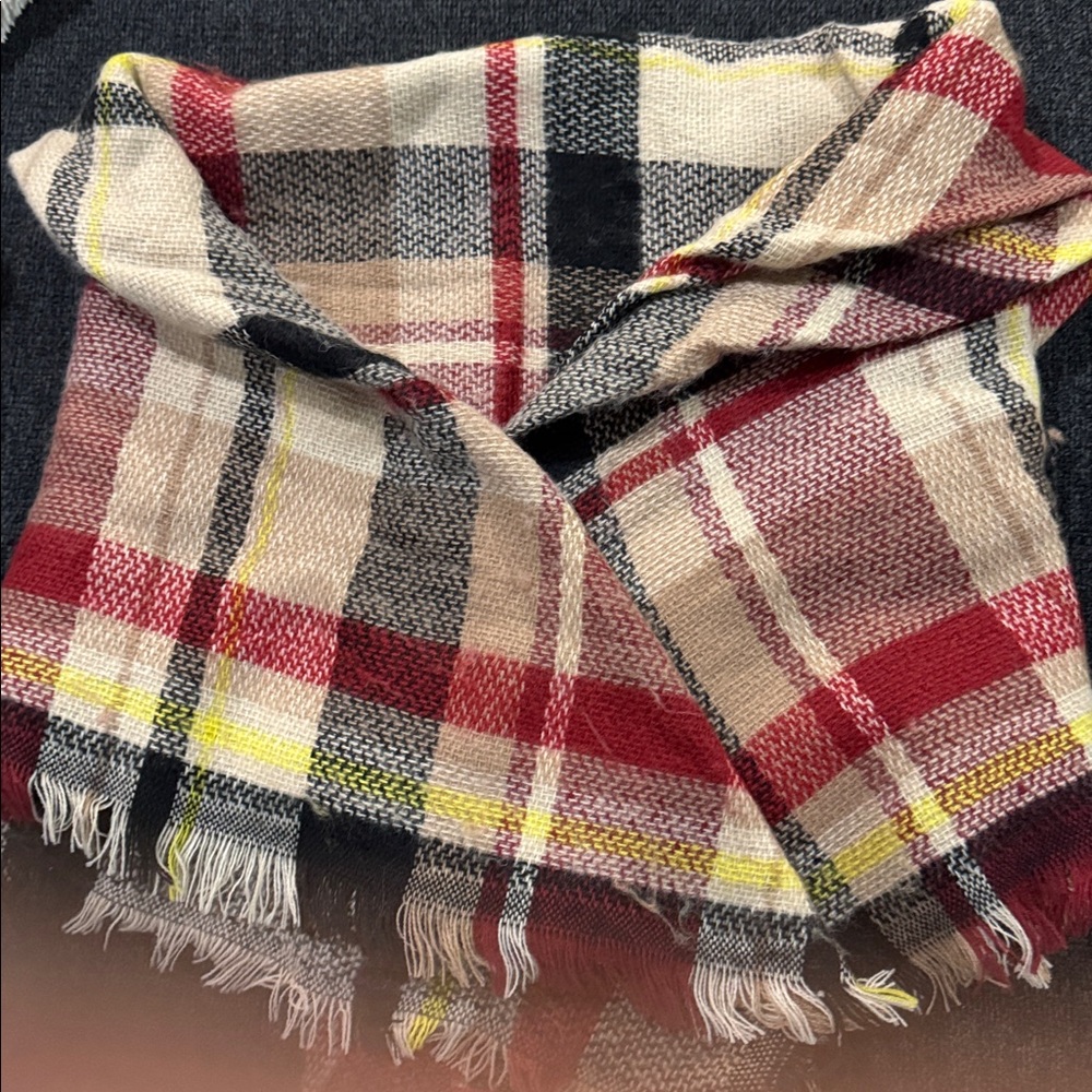 Plaid Fringed Fashion Scarf